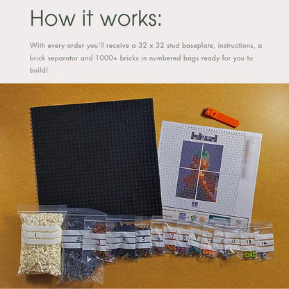 IGOR Buildable Brick Art